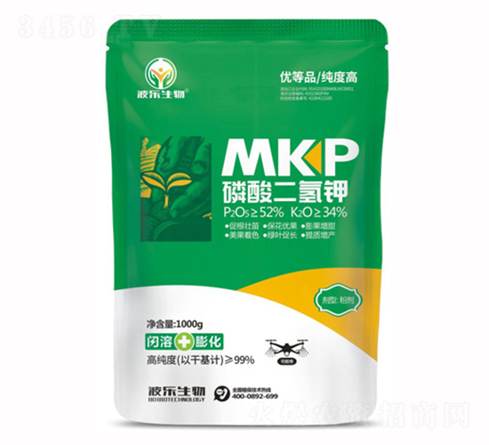 ��������-����(l��)����