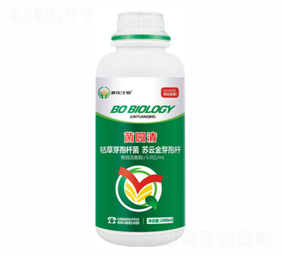 ΢�������-���@��-��������