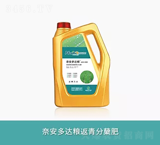 �ΰ����_(d��)�Z������Y��-�ΰ����B(t��i)