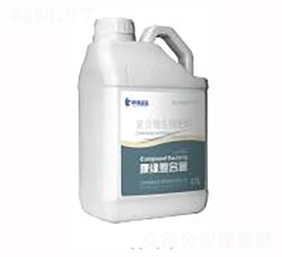 ��(f��)��΢�������-��(f��)�Ͼ�-��������