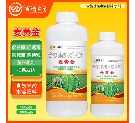 ���S��-�����r(n��ng)�I(y��)