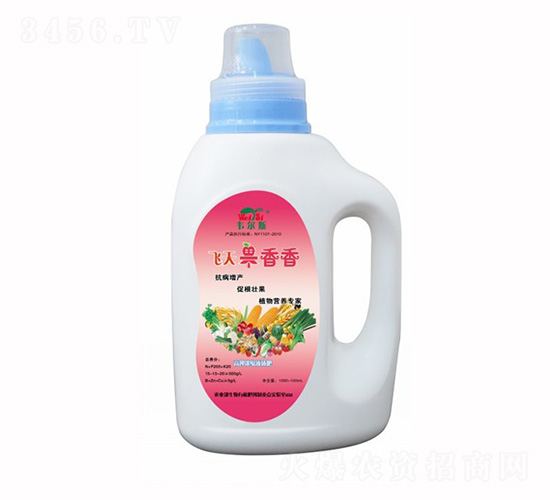 �w�������-�f��˹-�Rķ������