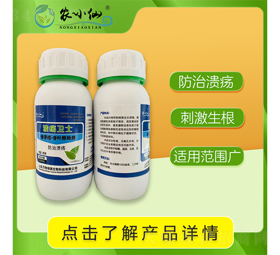 �����l(w��i)ʿ��������Ν�������-�r(n��ng)С��-�f��GԴ