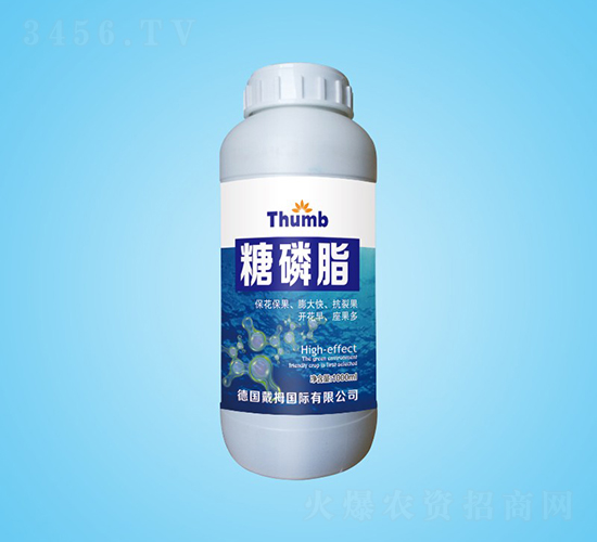 ����֬-����r(n��ng)�I(y��)