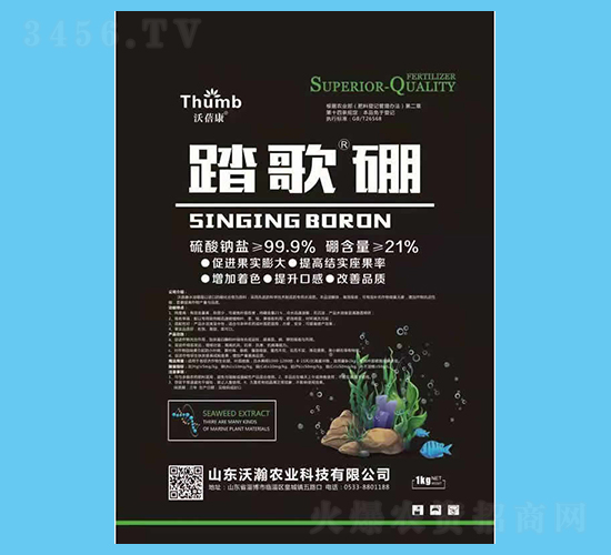 ̤����-������-����r(n��ng)�I(y��)