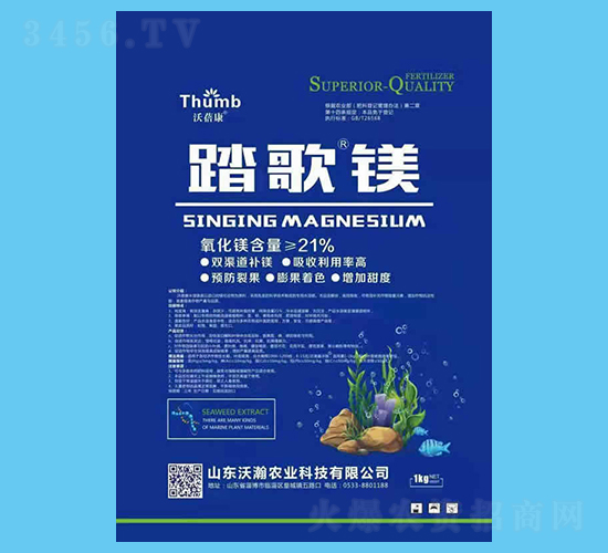 ̤���V-������-����r(n��ng)�I(y��)