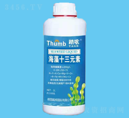 ����ʮ��Ԫ��-̤��-����r(n��ng)�I(y��)