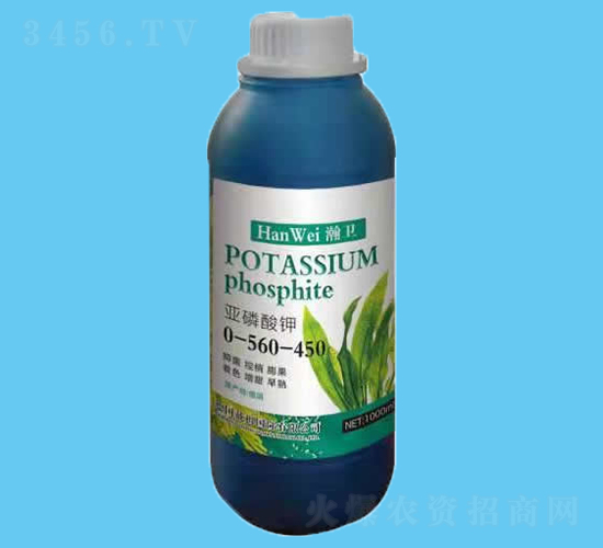 �������-��l(w��i)-����r(n��ng)�I(y��)