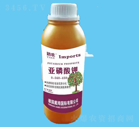 �������-̤��-����r(n��ng)�I(y��)