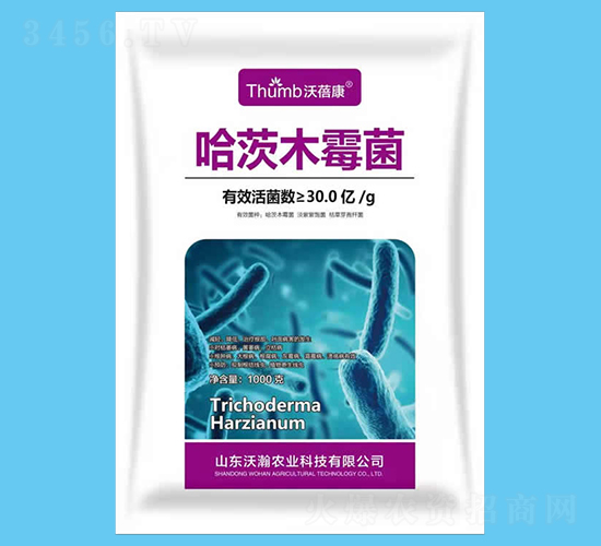 ����ľù����30�|�����-������-����r(n��ng)�I(y��)