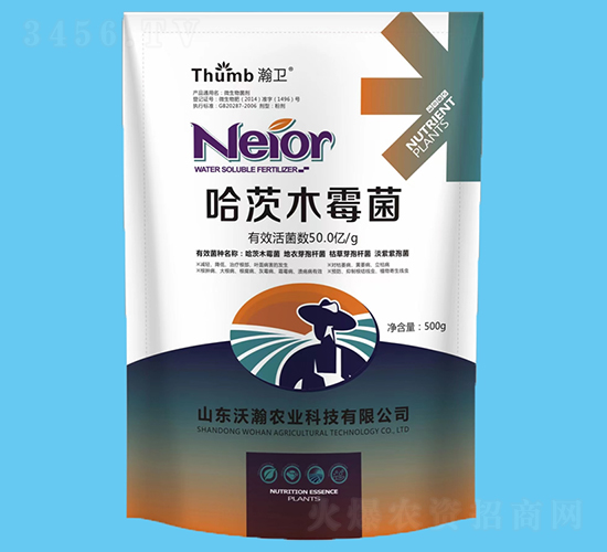 ����ľù����50�|�����-��l(w��i)-����r(n��ng)�I(y��)