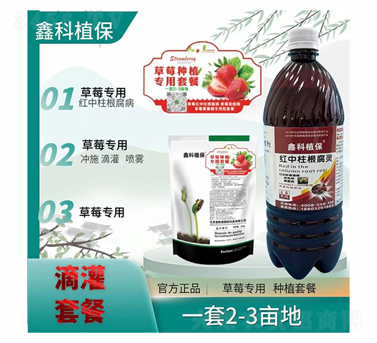 ��ݮ�t���������`�ײ�-�ο�ֲ��