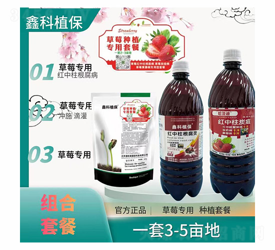 ��ݮ�M���ײ�-�ο�ֲ��