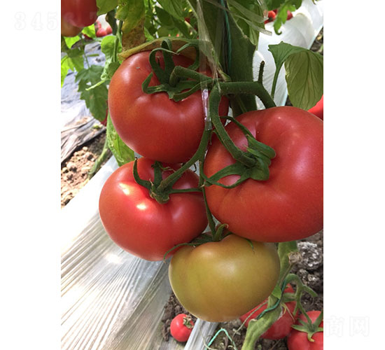 �A��158��PT2022�����ѷN��-�A���r(n��ng)�I(y��)