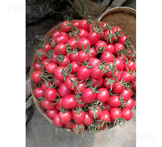 �۾��`���ѷN��-�A���r(n��ng)�I(y��)