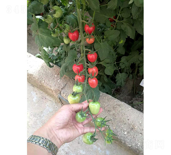 �ۃ�(y��u)��2022�����ѷN��-�A���r(n��ng)�I(y��)