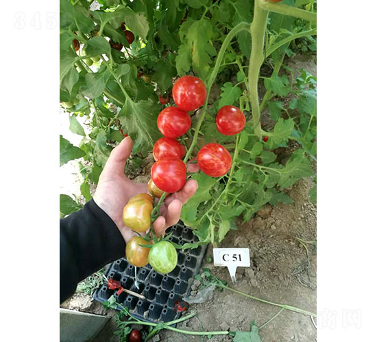 �Ї�(gu��)�t���ҷ��ѷN��-�A���r(n��ng)�I(y��)