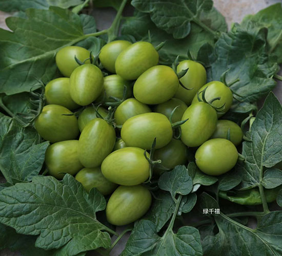 �Gǧ�����ҷ��ѷN��-�A���r�I(y��)