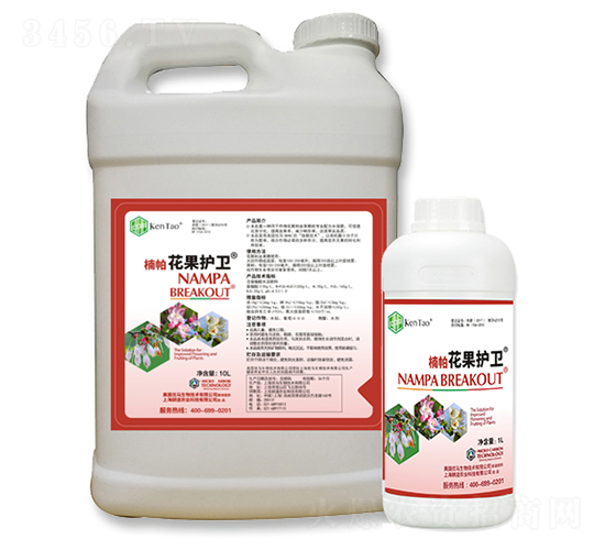 ��������o�l(w��i)-����