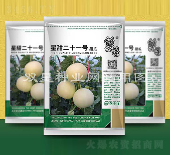 �����ʮһ̖(h��o)-��ϷN��-�p�ǷN�I(y��)