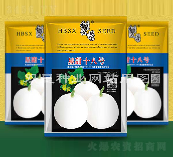 ����ʮ��̖(h��o)-��ϷN��-�p�ǷN�I(y��)