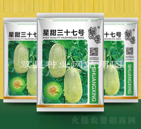 ������ʮ��̖-��ϷN��-�p�ǷN�I(y��)