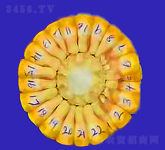 ���\6-���׷N��-�Ǻ����r(n��ng)