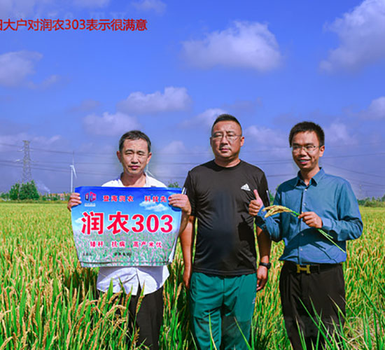 ���r(n��ng)303-ˮ���N��-�Ǻ����r(n��ng)