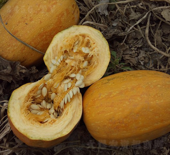 �A�����S-�����J�N��-�A���N��