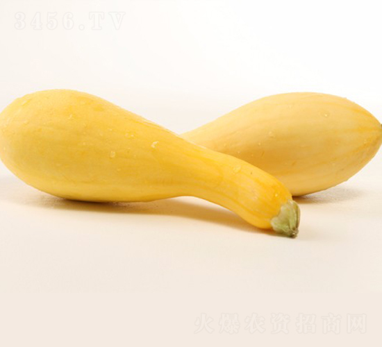 �A��1218-�����J�N��-�A���N��