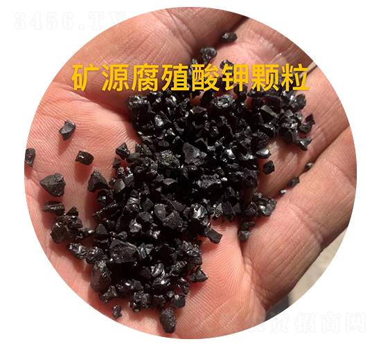 �VԴ��ֳ����w��-��������