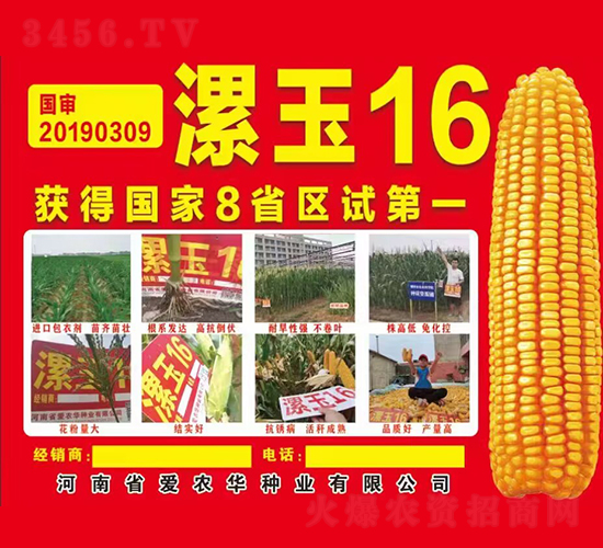 ����16-���׷N��-���r(n��ng)�A�N�I(y��)