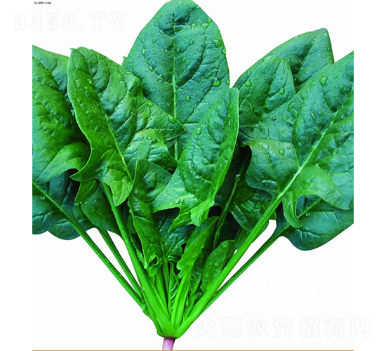 �����A+����-���˷N��-�V��