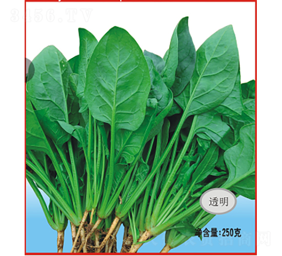 �³�������-���˷N��-�V��