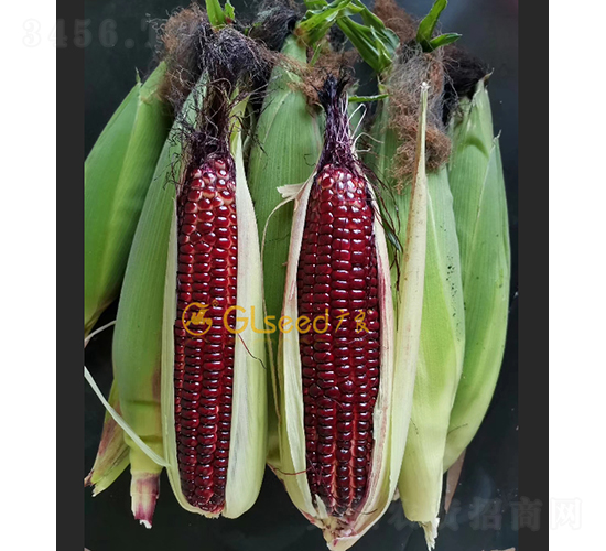 �V����t����-���׷N��-�V��