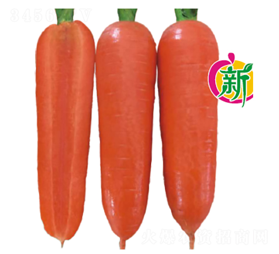 �V��103F1���}��-���}���N��-�V��