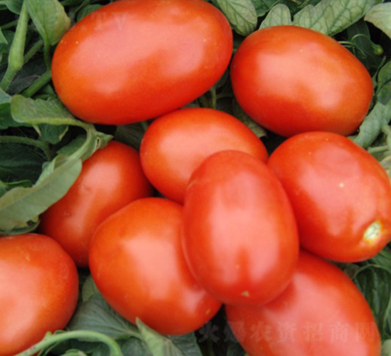 �¼t��ʯ-�ӹ����ѷN��-�A���N��