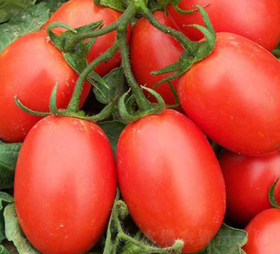 �A��055-�ӹ����ѷN��-�A���N��