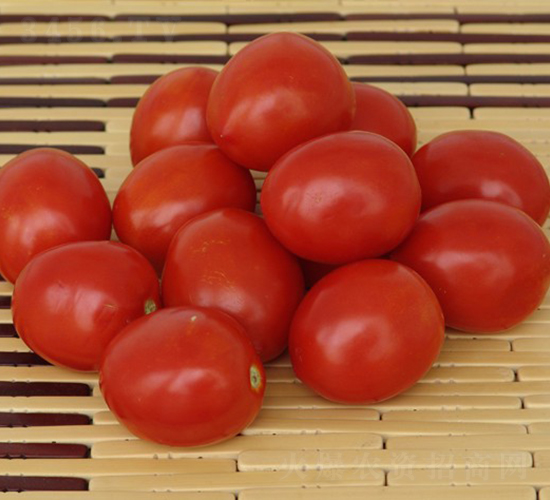 �A��004-�ӹ����ѷN��-�A���N��