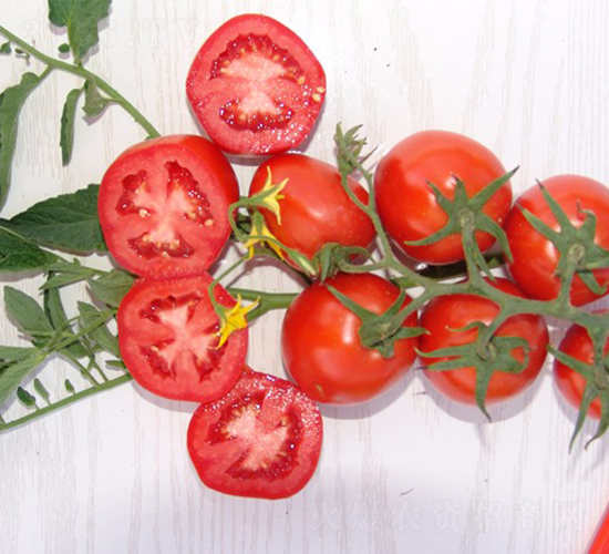 �A��1703-�ӹ����ѷN��-�A���N��