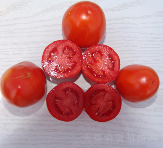 �A��1704-�ӹ����ѷN��-�A���N��