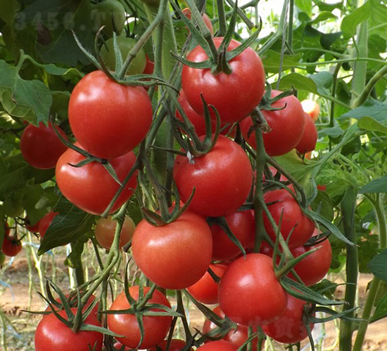 ����-���ҷ��ѷN��-�A���N��