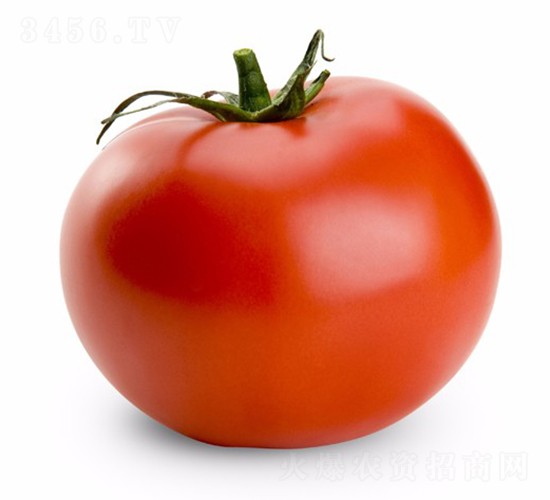 CNUS1704-�������L���ѷN��-�A���N��