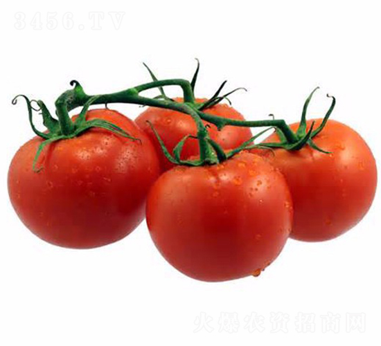 CNUS1703-�������L���ѷN��-�A���N��