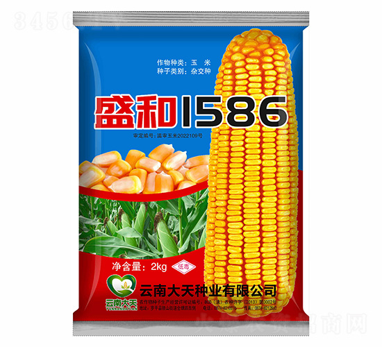 ���׷N��-ʢ��1586-����N�I(y��)