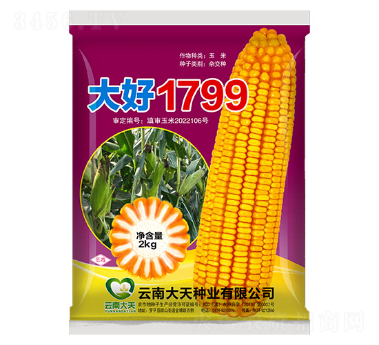 ���׷N��-���1799-����N�I(y��)