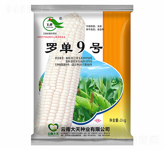 ���׷N��-�_��9̖(h��o)-����N�I(y��)