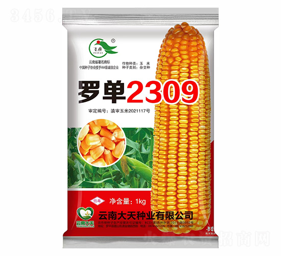 ���׷N��-�_��2309-����N�I(y��)