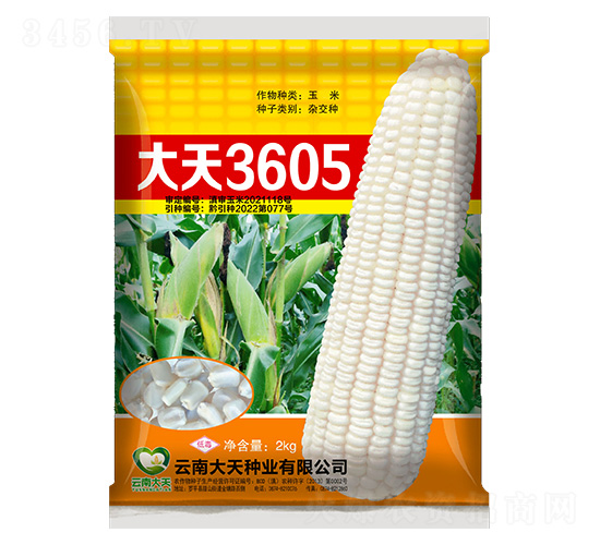 ���׷N��-����3605-����N�I(y��)