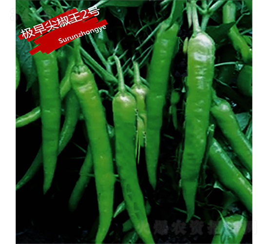 �O��⽷��2̖(h��o)-�����N��-�K��(r��n)�N�I(y��)